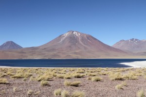  Laguna Miscanti, Region de Antofagasta, Atacamawüste, Chile